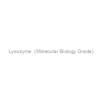 Lysozyme  (Molecular Biology Grade)